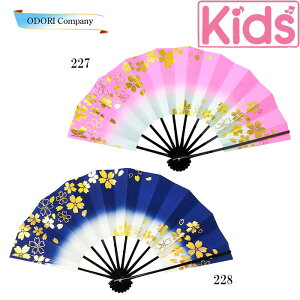 qq 9 (27.5cm) q q xp {x ł [ڂ  sN  h w|₨mÁA q9ABep 227-k 228-k LbY