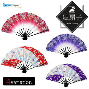 q 9.5 {x q xp Kp h ڂ      zO