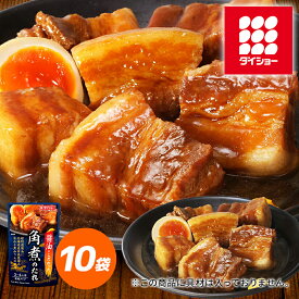 角煮のたれ 10袋セット 調味料　ダイショー