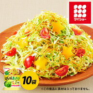 ぱくぱくキャベツ用セット 10袋 セット 時短 パリパリ麺付き ドレッシング付き サラダ ダイショー