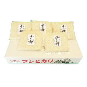 VāEߘa7NYE2025NY V@т̍nY@R̐_300gi2j×5Zbg@V@RVqJ