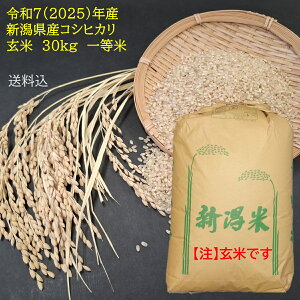コシヒカリ 玄米30kg 新潟」の人気商品一覧 | 安い商品を通販サイト 