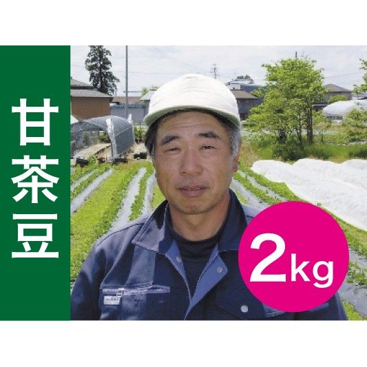 （発送期間：8 24〜9 10頃）高山農園さんの甘茶豆2kg　新潟　枝豆
