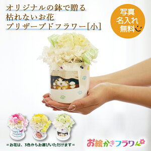 LINE�ŊȒP�� ��̓� �v���[���g �ʐ^���� �h�V�̓� ������ �q�ǂ� ���킢�� ���G���� ���G�����t�����[ �v���U�[�u�h�t�����[