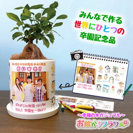 卒園記念品 送料無料 写真入りプレゼント 名入れ おしゃれ お絵かき 観葉植物 鉢植え フラワーギフト かわいい【 お絵かきフラワー ガジュマル 】しあわせの木 人気 プレゼント 敬老の日 孫 父の日 贈り物 結婚祝い 還暦祝い 卒園記念品 先生 園児 卒団記念品 監督 コーチ