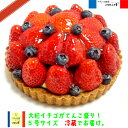 いちごとブルーベリーのタルト16cm（5号） 5号 誕生日ケーキ バースデーケーキ 母の日 記念日 ケーキ 配達 タルトケー…