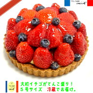 いちごとブルーベリーのタルト16cm（5号） 5号 誕生日ケーキ バースデーケーキ 母の日 記念日 ケーキ 配…