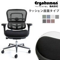 新商品《期間中ポイント10倍!》【完成品】エルゴヒューマンベーシック/クッション座面タイプ(カラー:ブラックのみ限定)/ヘッドレスト無し【搬入・設置・梱包材引取り無料】【家財便送料無料】高機能メッシュオフィスチェア/エルゴヒューマンチェア/EGP