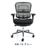新商品《期間中ポイント10倍!》【完成品】エルゴヒューマンベーシック/クッション座面タイプ(座カラー:ブラックのみ限定)/ヘッドレスト無し【搬入・設置・梱包材引取り無料】【家財便送料無料】高機能メッシュオフィスチェア/エルゴヒューマンチェア/EGP