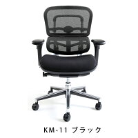 新商品《期間中ポイント10倍!》【完成品】エルゴヒューマンベーシック/クッション座面タイプ(座カラー:ブラックのみ限定)/ヘッドレスト無し【搬入・設置・梱包材引取り無料】【家財便送料無料】高機能メッシュオフィスチェア/エルゴヒューマンチェア/EGP