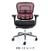 新商品《期間中ポイント10倍!》【完成品】エルゴヒューマンベーシック/クッション座面タイプ(座カラー:ブラックのみ限定)/ヘッドレスト無し【搬入・設置・梱包材引取り無料】【家財便送料無料】高機能メッシュオフィスチェア/エルゴヒューマンチェア/EGP
