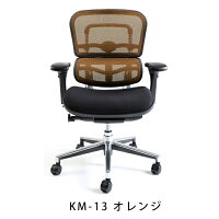 新商品《期間中ポイント10倍!》【完成品】エルゴヒューマンベーシック/クッション座面タイプ(座カラー:ブラックのみ限定)/ヘッドレスト無し【搬入・設置・梱包材引取り無料】【家財便送料無料】高機能メッシュオフィスチェア/エルゴヒューマンチェア/EGP