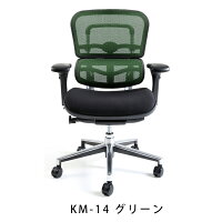 新商品《期間中ポイント10倍!》【完成品】エルゴヒューマンベーシック/クッション座面タイプ(座カラー:ブラックのみ限定)/ヘッドレスト無し【搬入・設置・梱包材引取り無料】【家財便送料無料】高機能メッシュオフィスチェア/エルゴヒューマンチェア/EGP