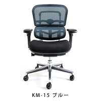 新商品《期間中ポイント10倍!》【完成品】エルゴヒューマンベーシック/クッション座面タイプ(座カラー:ブラックのみ限定)/ヘッドレスト無し【搬入・設置・梱包材引取り無料】【家財便送料無料】高機能メッシュオフィスチェア/エルゴヒューマンチェア/EGP