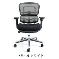 新商品《期間中ポイント10倍!》【完成品】エルゴヒューマンベーシック/クッション座面タイプ(座カラー:ブラックのみ限定)/ヘッドレスト無し【搬入・設置・梱包材引取り無料】【家財便送料無料】高機能メッシュオフィスチェア/エルゴヒューマンチェア/EGP