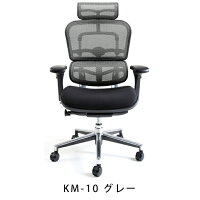 新商品《期間中ポイント10倍!》【完成品】エルゴヒューマンベーシック/クッション座面タイプ(座カラー:ブラックのみ限定)/ヘッドレスト付【搬入・設置・梱包材引取り無料】【家財便送料無料】高機能メッシュオフィスチェア/EH-HAMエルゴヒューマンチェア/EGP