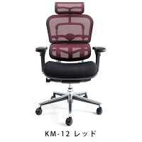 新商品《期間中ポイント10倍!》【完成品】エルゴヒューマンベーシック/クッション座面タイプ(座カラー:ブラックのみ限定)/ヘッドレスト付【搬入・設置・梱包材引取り無料】【家財便送料無料】高機能メッシュオフィスチェア/EH-HAMエルゴヒューマンチェア/EGP