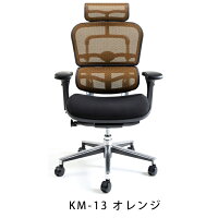 新商品《期間中ポイント10倍!》【完成品】エルゴヒューマンベーシック/クッション座面タイプ(座カラー:ブラックのみ限定)/ヘッドレスト付【搬入・設置・梱包材引取り無料】【家財便送料無料】高機能メッシュオフィスチェア/EH-HAMエルゴヒューマンチェア/EGP