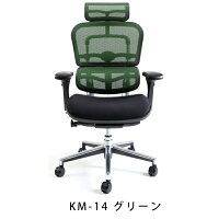 新商品《期間中ポイント10倍!》【完成品】エルゴヒューマンベーシック/クッション座面タイプ(座カラー:ブラックのみ限定)/ヘッドレスト付【搬入・設置・梱包材引取り無料】【家財便送料無料】高機能メッシュオフィスチェア/EH-HAMエルゴヒューマンチェア/EGP