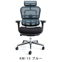新商品《期間中ポイント10倍!》【完成品】エルゴヒューマンベーシック/クッション座面タイプ(座カラー:ブラックのみ限定)/ヘッドレスト付【搬入・設置・梱包材引取り無料】【家財便送料無料】高機能メッシュオフィスチェア/EH-HAMエルゴヒューマンチェア/EGP