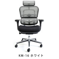 新商品《期間中ポイント10倍!》【完成品】エルゴヒューマンベーシック/クッション座面タイプ(座カラー:ブラックのみ限定)/ヘッドレスト付【搬入・設置・梱包材引取り無料】【家財便送料無料】高機能メッシュオフィスチェア/EH-HAMエルゴヒューマンチェア/EGP