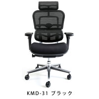 新商品《期間中ポイント10倍!》【完成品】エルゴヒューマンベーシック/クッション座面タイプ(座カラー:ブラックのみ限定)/ヘッドレスト付【搬入・設置・梱包材引取り無料】【家財便送料無料】高機能メッシュオフィスチェア/EH-HAMエルゴヒューマンチェア/EGP