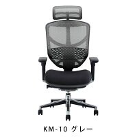 新商品《期間中ポイント10倍!》【完成品】エルゴヒューマンエンジョイ/クッション座面タイプ(座カラー:ブラックのみ限定)/ランバーサポート付/ヘッドレスト有り【搬入・設置・梱包材引取り無料】【家財便送料無料】メッシュチェア/オフィスチェアENJOY/EGP/
