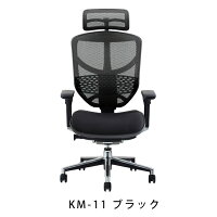 新商品《期間中ポイント10倍!》【完成品】エルゴヒューマンエンジョイ/クッション座面タイプ(座カラー:ブラックのみ限定)/ランバーサポート付/ヘッドレスト有り【搬入・設置・梱包材引取り無料】【家財便送料無料】メッシュチェア/オフィスチェアENJOY/EGP/