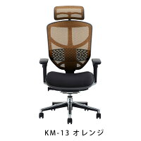 新商品《期間中ポイント10倍!》【完成品】エルゴヒューマンエンジョイ/クッション座面タイプ(座カラー:ブラックのみ限定)/ランバーサポート付/ヘッドレスト有り【搬入・設置・梱包材引取り無料】【家財便送料無料】メッシュチェア/オフィスチェアENJOY/EGP/