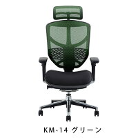 新商品《期間中ポイント10倍!》【完成品】エルゴヒューマンエンジョイ/クッション座面タイプ(座カラー:ブラックのみ限定)/ランバーサポート付/ヘッドレスト有り【搬入・設置・梱包材引取り無料】【家財便送料無料】メッシュチェア/オフィスチェアENJOY/EGP/
