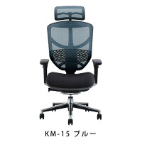 新商品《期間中ポイント10倍!》【完成品】エルゴヒューマンエンジョイ/クッション座面タイプ(座カラー:ブラックのみ限定)/ランバーサポート付/ヘッドレスト有り【搬入・設置・梱包材引取り無料】【家財便送料無料】メッシュチェア/オフィスチェアENJOY/EGP/