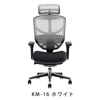 新商品《期間中ポイント10倍!》【完成品】エルゴヒューマンエンジョイ/クッション座面タイプ(座カラー:ブラックのみ限定)/ランバーサポート付/ヘッドレスト有り【搬入・設置・梱包材引取り無料】【家財便送料無料】メッシュチェア/オフィスチェアENJOY/EGP/