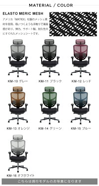 新商品《期間中ポイント10倍!》【完成品】エルゴヒューマンエンジョイ/クッション座面タイプ(座カラー:ブラックのみ限定)/ランバーサポート付/ヘッドレスト有り【搬入・設置・梱包材引取り無料】【家財便送料無料】メッシュチェア/オフィスチェアENJOY/EGP/