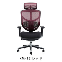 新商品《期間中ポイント10倍!》【完成品】エルゴヒューマンエンジョイ/クッション座面タイプ(座カラー:ブラックのみ限定)/ランバーサポート付/ヘッドレスト有り【搬入・設置・梱包材引取り無料】【家財便送料無料】メッシュチェア/オフィスチェアENJOY/EGP/
