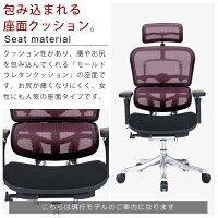 新商品《期間中ポイント10倍!》【完成品】エルゴヒューマンプロ/クッション座面タイプ(座カラー:ブラックのみ限定)/ヘッドレスト付【搬入・設置・梱包材引取り無料】【家財便送料無料】高機能メッシュオフィスチェア/EGP