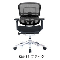 新商品《期間中ポイント10倍!》【完成品】エルゴヒューマンプロ/クッション座面タイプ(座カラー:ブラックのみ限定)/ヘッドレスト無し【搬入・設置・梱包材引取り無料】【家財便送料無料】高機能メッシュオフィスチェア/EGP