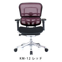 新商品《期間中ポイント10倍!》【完成品】エルゴヒューマンプロ/クッション座面タイプ(座カラー:ブラックのみ限定)/ヘッドレスト無し【搬入・設置・梱包材引取り無料】【家財便送料無料】高機能メッシュオフィスチェア/EGP