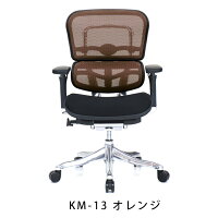 新商品《期間中ポイント10倍!》【完成品】エルゴヒューマンプロ/クッション座面タイプ(座カラー:ブラックのみ限定)/ヘッドレスト無し【搬入・設置・梱包材引取り無料】【家財便送料無料】高機能メッシュオフィスチェア/EGP