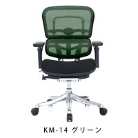 新商品《期間中ポイント10倍!》【完成品】エルゴヒューマンプロ/クッション座面タイプ(座カラー:ブラックのみ限定)/ヘッドレスト無し【搬入・設置・梱包材引取り無料】【家財便送料無料】高機能メッシュオフィスチェア/EGP