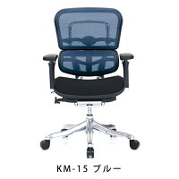 新商品《期間中ポイント10倍!》【完成品】エルゴヒューマンプロ/クッション座面タイプ(座カラー:ブラックのみ限定)/ヘッドレスト無し【搬入・設置・梱包材引取り無料】【家財便送料無料】高機能メッシュオフィスチェア/EGP