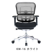 新商品《期間中ポイント10倍!》【完成品】エルゴヒューマンプロ/クッション座面タイプ(座カラー:ブラックのみ限定)/ヘッドレスト無し【搬入・設置・梱包材引取り無料】【家財便送料無料】高機能メッシュオフィスチェア/EGP