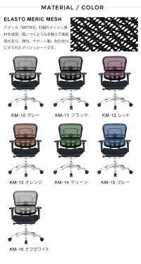 新商品《期間中ポイント10倍!》【完成品】エルゴヒューマンプロ/クッション座面タイプ(カラー:ブラックのみ限定)/ヘッドレスト無し【搬入・設置・梱包材引取り無料】【家財便送料無料】高機能メッシュオフィスチェア/EGP