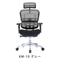 新商品《期間中ポイント10倍!》【完成品】エルゴヒューマンプロ/クッション座面タイプ(座カラー:ブラックのみ限定)/ヘッドレスト付【搬入・設置・梱包材引取り無料】【家財便送料無料】高機能メッシュオフィスチェア/EGP