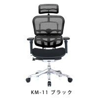 新商品《期間中ポイント10倍!》【完成品】エルゴヒューマンプロ/クッション座面タイプ(座カラー:ブラックのみ限定)/ヘッドレスト付【搬入・設置・梱包材引取り無料】【家財便送料無料】高機能メッシュオフィスチェア/EGP