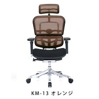 新商品《期間中ポイント10倍!》【完成品】エルゴヒューマンプロ/クッション座面タイプ(座カラー:ブラックのみ限定)/ヘッドレスト付【搬入・設置・梱包材引取り無料】【家財便送料無料】高機能メッシュオフィスチェア/EGP