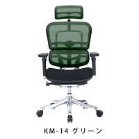 新商品《期間中ポイント10倍!》【完成品】エルゴヒューマンプロ/クッション座面タイプ(座カラー:ブラックのみ限定)/ヘッドレスト付【搬入・設置・梱包材引取り無料】【家財便送料無料】高機能メッシュオフィスチェア/EGP