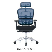 新商品《期間中ポイント10倍!》【完成品】エルゴヒューマンプロ/クッション座面タイプ(座カラー:ブラックのみ限定)/ヘッドレスト付【搬入・設置・梱包材引取り無料】【家財便送料無料】高機能メッシュオフィスチェア/EGP