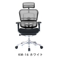 新商品《期間中ポイント10倍!》【完成品】エルゴヒューマンプロ/クッション座面タイプ(座カラー:ブラックのみ限定)/ヘッドレスト付【搬入・設置・梱包材引取り無料】【家財便送料無料】高機能メッシュオフィスチェア/EGP