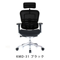 新商品《期間中ポイント10倍!》【完成品】エルゴヒューマンプロ/クッション座面タイプ(座カラー:ブラックのみ限定)/ヘッドレスト付【搬入・設置・梱包材引取り無料】【家財便送料無料】高機能メッシュオフィスチェア/EGP