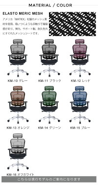 新商品《期間中ポイント10倍!》【完成品】エルゴヒューマンプロ/クッション座面タイプ(カラー:ブラックのみ限定)/ヘッドレスト付【搬入・設置・梱包材引取り無料】【家財便送料無料】高機能メッシュオフィスチェア/EGP